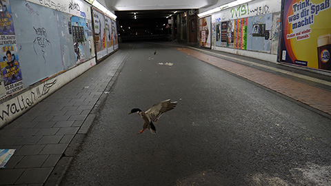 'im Tunnel' Filmstill von Zauri Matikashvil